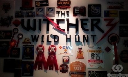   The Witcher 3: Wild Hunt
